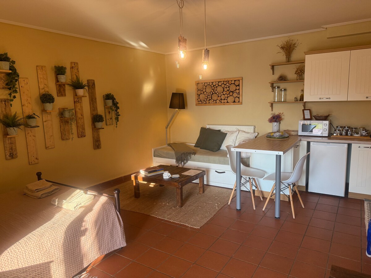 Giotas country house — Апартамент в Varnavas