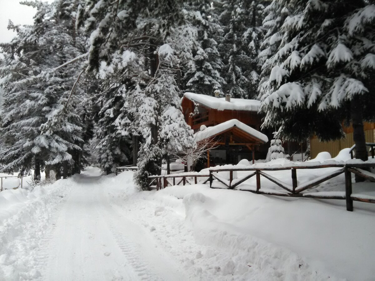 Chalet in Popovi Livadi (Pirin Mountain) — снимка 5